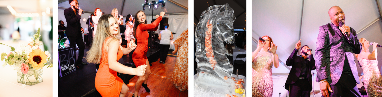 KnightFest 2023 Collage